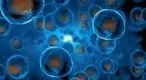 Embryonic-stem-cells.webp Embryonic-stem-cells.webp