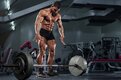 Barbell Deadlifts Barbell Deadlifts