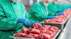 Food scientist adding food additives to raw cuts of meats with nitrates