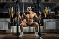 Barbell Squats