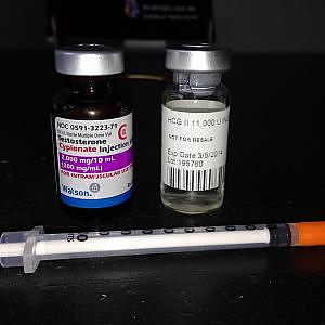How to Use HCG with Testosterone To Preserve Fertility, Libido and Testicle Size -