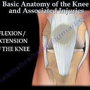 Knee  injury ,Injuries - Everything You Need To Know - Dr. Nabil Ebraheim