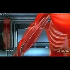 The scientific truth about steroids -