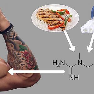 Creatine: How to Best Use It for Muscle Growth (Avoid Side Effects)! - YouTube