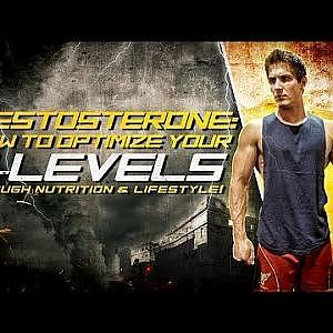 Testosterone: How To Optimize Your T-Levels Through Nutrition & Lifestyle!