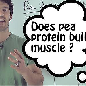 Whey Protein VS Pea Protein: do they compare?