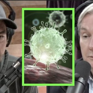 How Serious is the Coronavirus? Infectious Disease Expert Michael Osterholm Explains | Joe Rogan