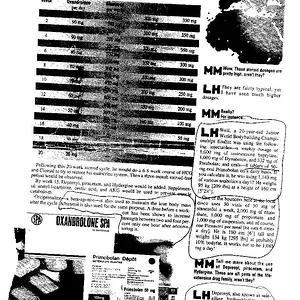 Muscle Mag 2000 November 2002 002.webp