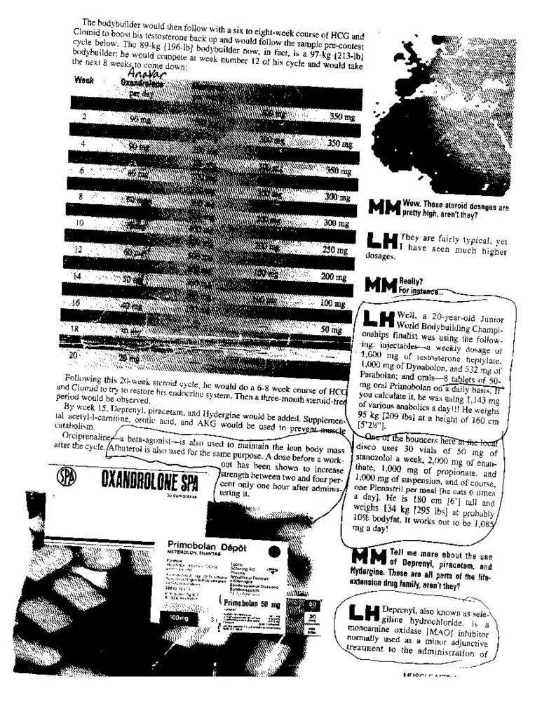Muscle Mag 2000 November 2002 002.webp