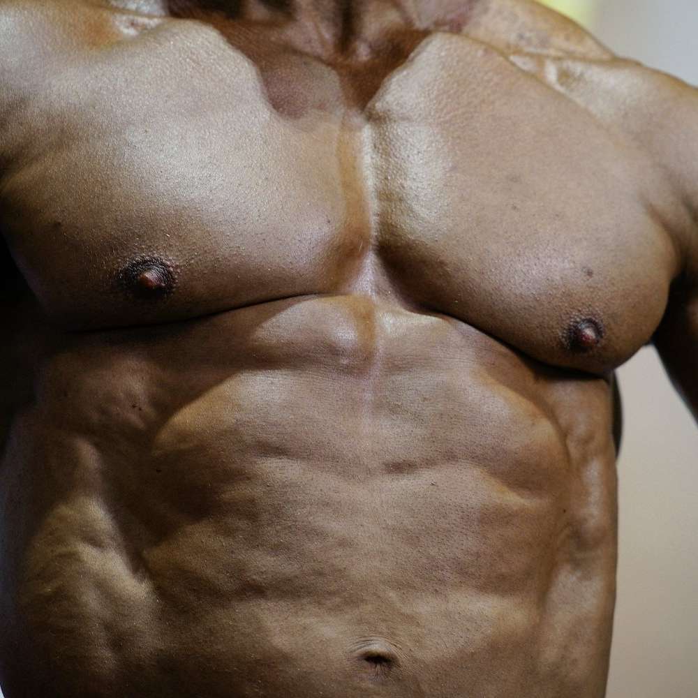 body builder